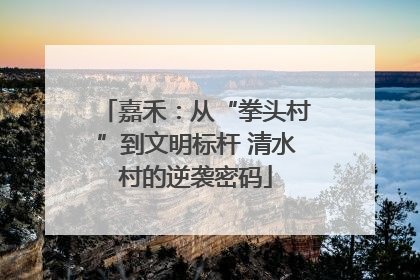 嘉禾：从“拳头村”到文明标杆 清水村的逆袭密码