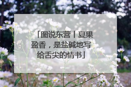 图说东营丨夏果盈香，是盐碱地写给舌尖的情书