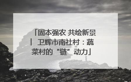 固本强农 共绘新景 ︳卫辉市南社村：蔬菜村的“链”动力