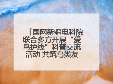 国网新疆电科院联合多方开展“爱鸟护线”科普交流活动 共筑鸟类友好城市