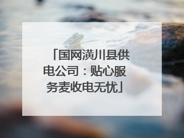 国网潢川县供电公司：贴心服务麦收电无忧