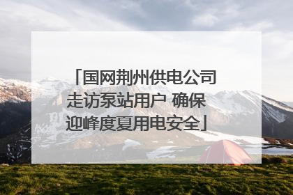 国网荆州供电公司走访泵站用户 确保迎峰度夏用电安全