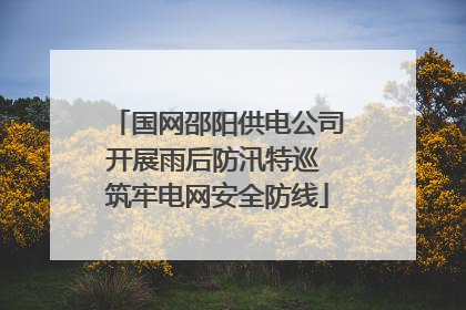 国网邵阳供电公司开展雨后防汛特巡 筑牢电网安全防线