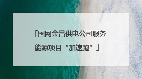 国网金昌供电公司服务能源项目“加速跑”