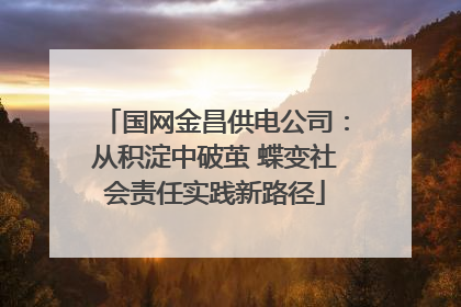 国网金昌供电公司：从积淀中破茧 蝶变社会责任实践新路径