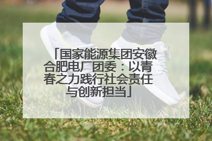 国家能源集团安徽合肥电厂团委：以青春之力践行社会责任与创新担当