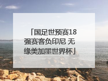 国足世预赛18强赛客负印尼 无缘美加墨世界杯