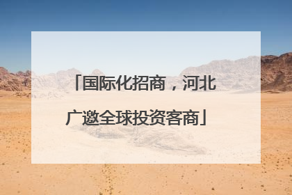 国际化招商，河北广邀全球投资客商
