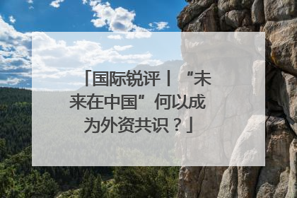 国际锐评丨“未来在中国”何以成为外资共识？