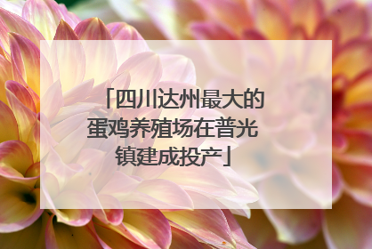 四川达州最大的蛋鸡养殖场在普光镇建成投产