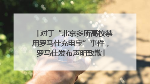 对于“北京多所高校禁用罗马仕充电宝”事件，罗马仕发布声明致歉