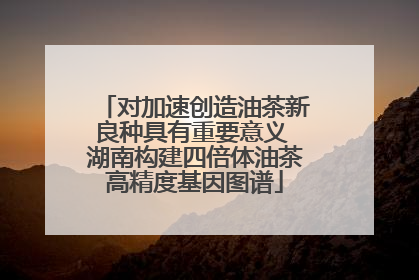 对加速创造油茶新良种具有重要意义 湖南构建四倍体油茶高精度基因图谱