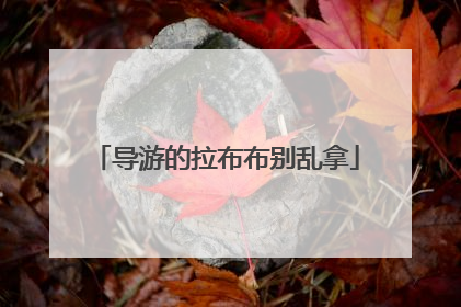 导游的拉布布别乱拿