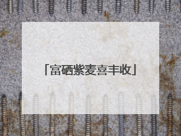 富硒紫麦喜丰收