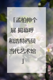 孟柏伸个展 揭幕呼和浩特西贝当代艺术馆