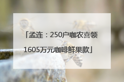 孟连：250户咖农喜领1605万元咖啡鲜果款