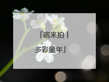 宿来拍丨多彩童年