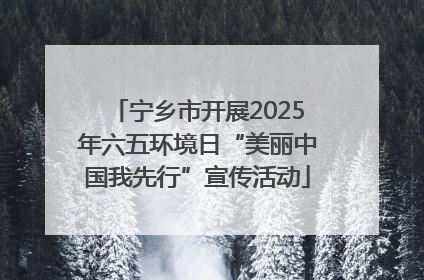宁乡市开展2025年六五环境日“美丽中国我先行”宣传活动