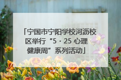 宁国市宁阳学校河沥校区举行“5・25 心理健康周”系列活动
