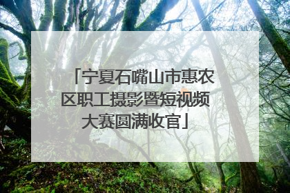 宁夏石嘴山市惠农区职工摄影暨短视频大赛圆满收官