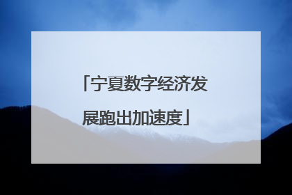 宁夏数字经济发展跑出加速度