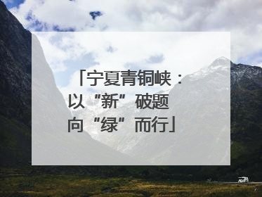 宁夏青铜峡：以“新”破题 向“绿”而行