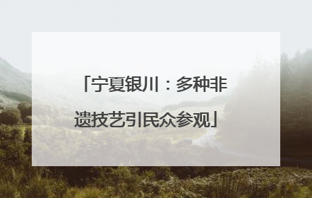 宁夏银川：多种非遗技艺引民众参观