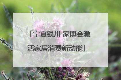 宁夏银川 家博会激活家居消费新动能