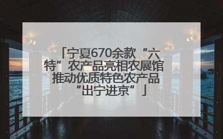 宁夏670余款“六特”农产品亮相农展馆 推动优质特色农产品“出宁进京”