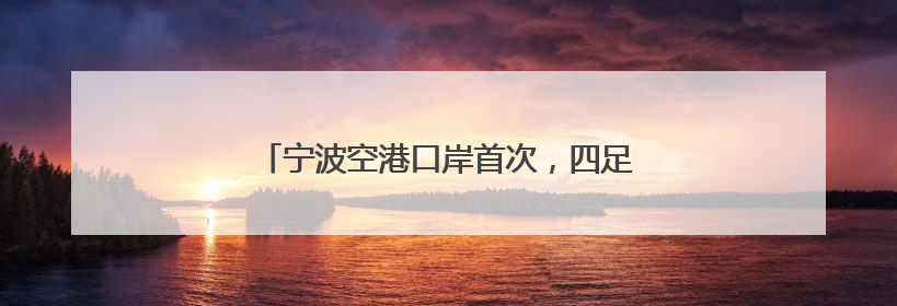 宁波空港口岸首次，四足机器人“打飞的”出海