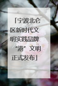 宁波北仑区新时代文明实践品牌“港”文明正式发布