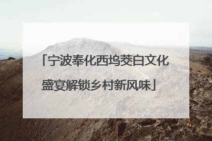 宁波奉化西坞茭白文化盛宴解锁乡村新风味