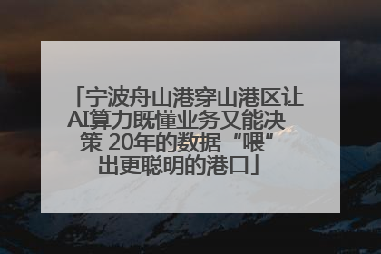 宁波舟山港穿山港区让AI算力既懂业务又能决策 20年的数据“喂”出更聪明的港口