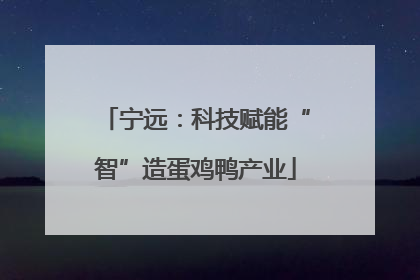 宁远：科技赋能“智”造蛋鸡鸭产业