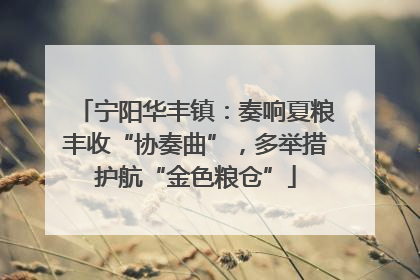 宁阳华丰镇：奏响夏粮丰收“协奏曲”，多举措护航“金色粮仓”