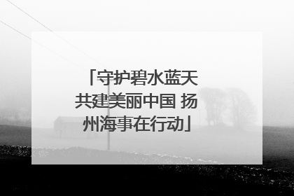 守护碧水蓝天 共建美丽中国 扬州海事在行动