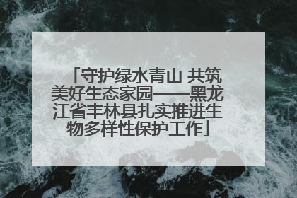 守护绿水青山 共筑美好生态家园——黑龙江省丰林县扎实推进生物多样性保护工作