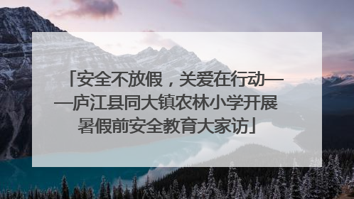 安全不放假，关爱在行动——庐江县同大镇农林小学开展暑假前安全教育大家访