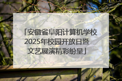 安徽省阜阳计算机学校2025年校园开放日暨文艺展演精彩纷呈
