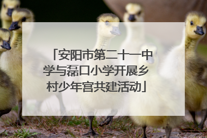 安阳市第二十一中学与磊口小学开展乡村少年宫共建活动