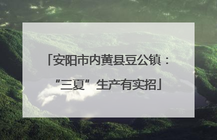 安阳市内黄县豆公镇：“三夏”生产有实招