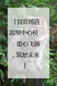 宜宾筠连蒿坝中心校：童心飞扬，筑梦未来