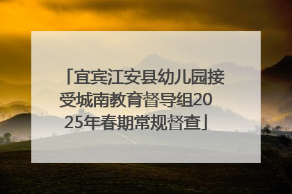 宜宾江安县幼儿园接受城南教育督导组2025年春期常规督查