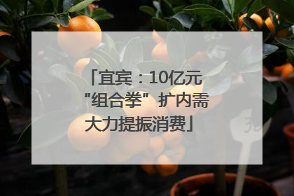 宜宾：10亿元“组合拳”扩内需 大力提振消费