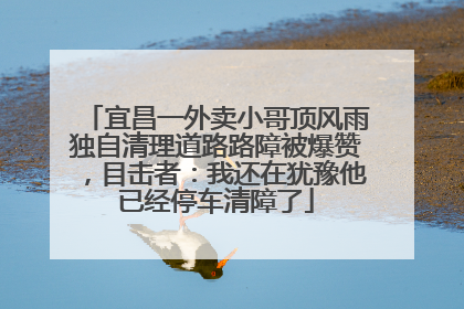 宜昌一外卖小哥顶风雨独自清理道路路障被爆赞，目击者：我还在犹豫他已经停车清障了