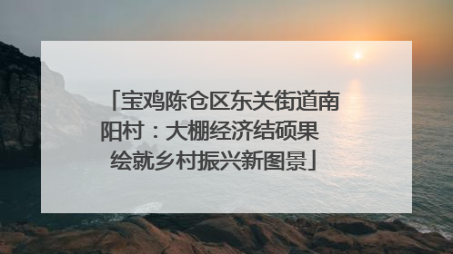 宝鸡陈仓区东关街道南阳村：大棚经济结硕果 绘就乡村振兴新图景