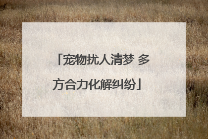 宠物扰人清梦 多方合力化解纠纷