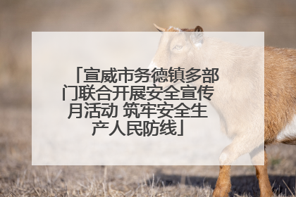 宣威市务德镇多部门联合开展安全宣传月活动 筑牢安全生产人民防线