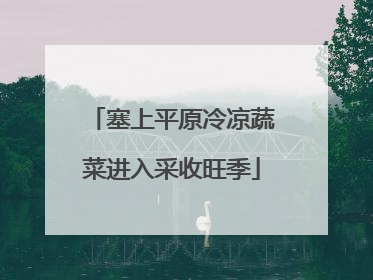 塞上平原冷凉蔬菜进入采收旺季