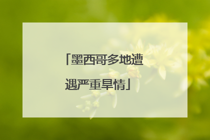 墨西哥多地遭遇严重旱情